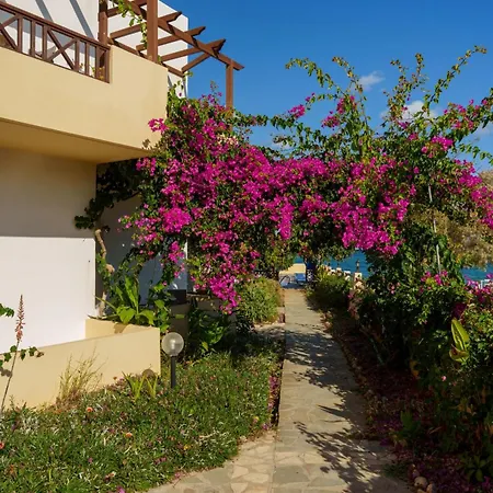 Dedalos Hotel 3*