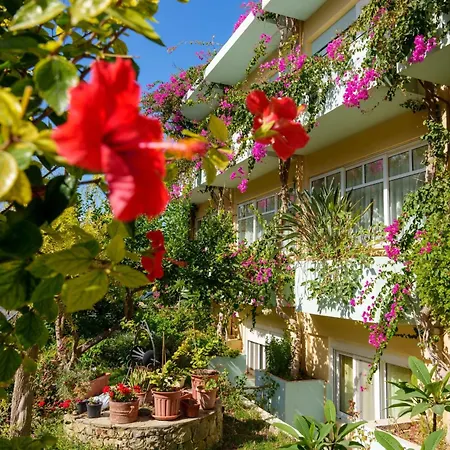Hotel Dedalos Sfáka